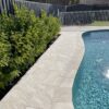 Oyster Travertine Cobblestones